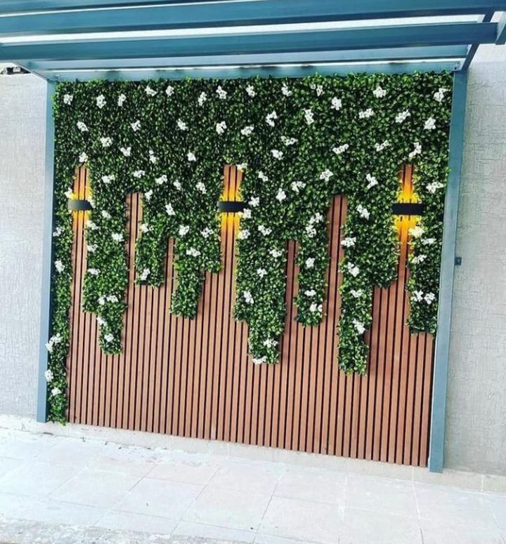 عشب جداري