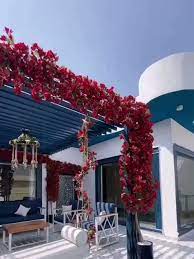 تصميم جلسات خارجيه بطراز يوناني