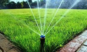 عشب طبيعي سعر المتر بالرياض