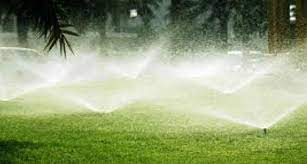 عشب طبيعي سعر المتر بالرياض