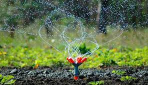 عشب طبيعي سعر المتر بالرياض