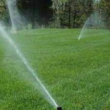 عشب طبيعي سعر المتر بالرياض